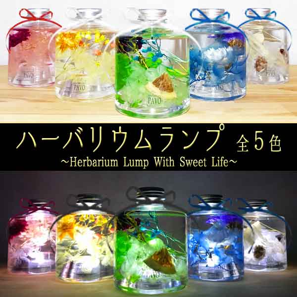 ハーバリウムランプ ハーバリウム LEDライトセット