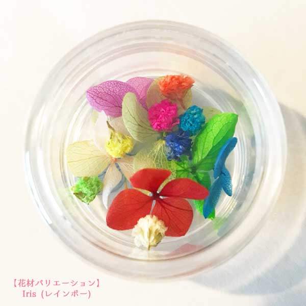 ハーバリウムボールペンキット ハーバリウムペン 花材バリエーション レインボー色 ハーバリウム通販販売店ＰＡＶＯ