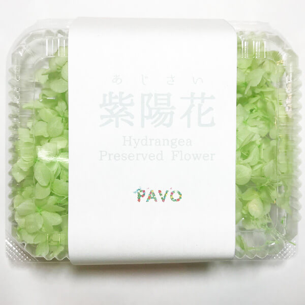 あじさい ブリザーブドフラワー グリーン 緑色 ハーバリウムに最適 15×12×6㎝ 約５g