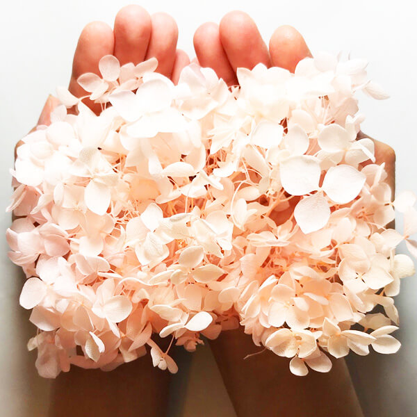 あじさい ブリザーブドフラワー ハーバリウムに最適 15×12×6㎝ 約５g