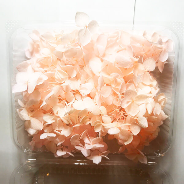 あじさい ブリザーブドフラワー ボリューム ハーバリウムに最適 15×12×6㎝ 約５g