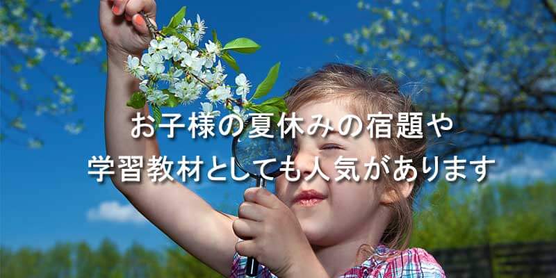 お子様の夏休みの自由研究や学習教材としても人気があります