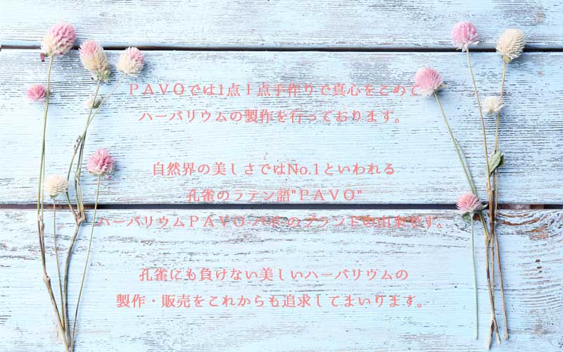 ハーバリウム通販販売店PAVOの名前の由来