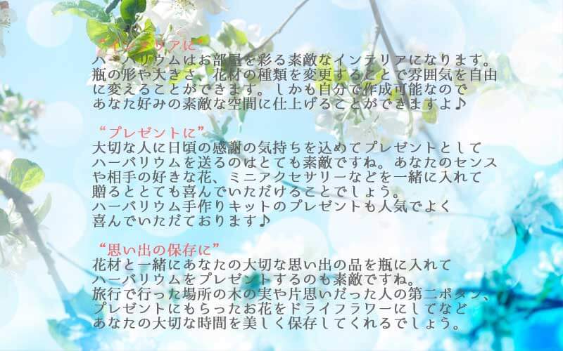 ハーバリウム用 花材 花 ドライフラワー ブリザーブドフラワー ハーバリウムの使い方 インテリアに プレゼントに 思い出の保存に