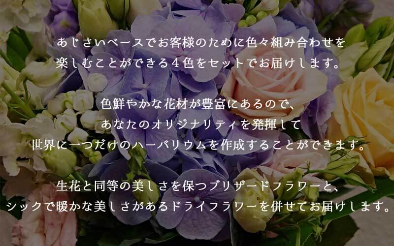 ハーバリウム用　あじさい　紫陽花　花材　花　ドライフラワー　ブリザーブドフラワー