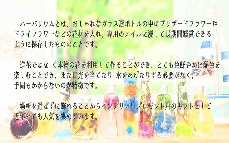 ハーバリウムとは、おしゃれなガラス瓶ボトルの中にブリザードフラワーやドライフラワーなどの花材を入れ、専用のオイルに浸して長期間鑑賞できるように保存したもののことです。 造花ではな く本物の花を利用して作ることができ、とても色鮮やかに配色を楽しむことでき、また日光を当てたり 水をあげたりする必要がなく、手間もかからないのが特徴です。 場所を選ばずに飾れることからインテリアやプレゼント用のギフトとして近年とても人気を集めています。