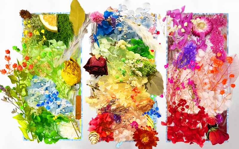PAVO ハーバリウム手作りキット 花材セット　３色セット ドライフラワー　ブリザーブドフラワー　セット　あじさい