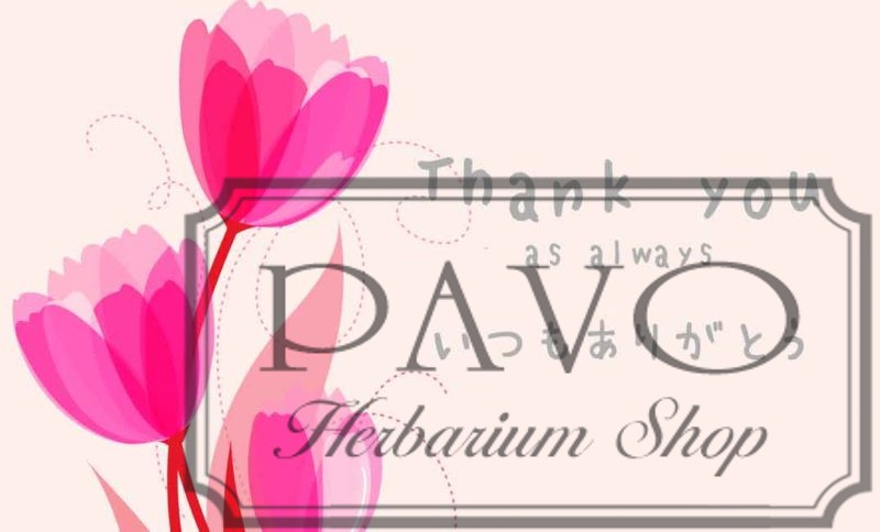 バースデーカード メッセージカード ギフトカード Thank-you-as-always-いつもありがとう