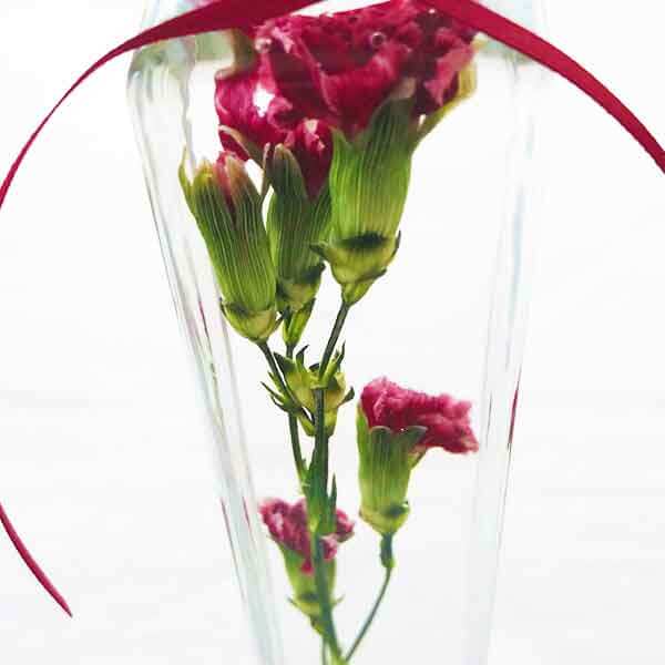 ハーバリウム カーネーション 母の日 の プレゼント 贈り物 に