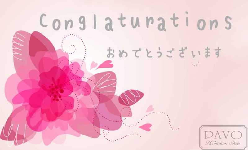 バースデーカード メッセージカード ギフトカード Congratulations-おめでとうございます