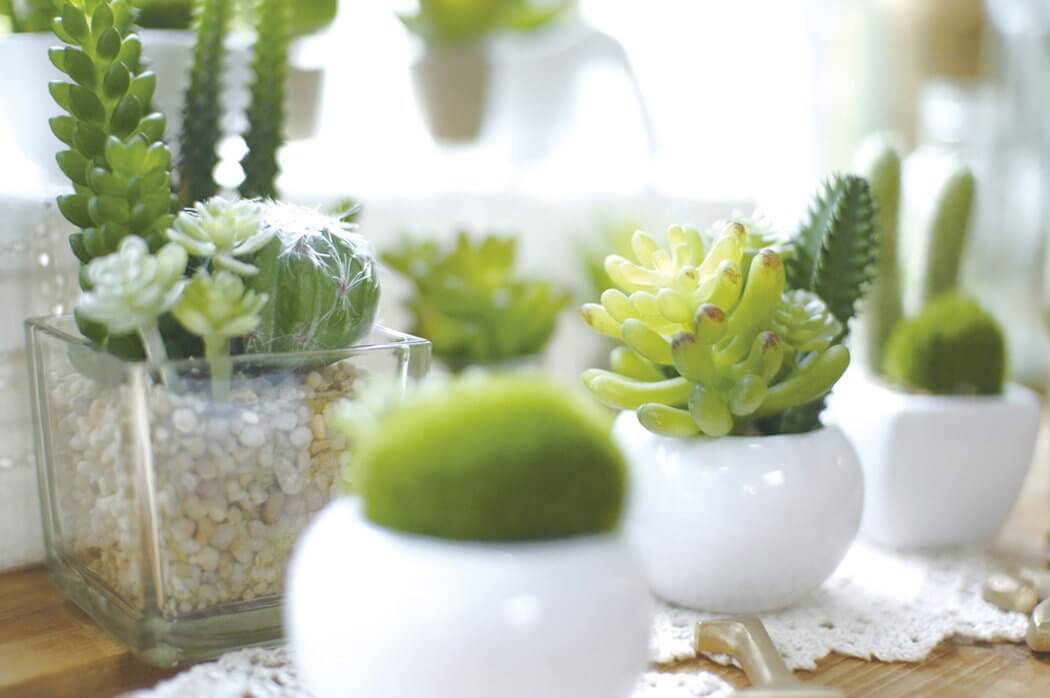 観葉植物 造花 ミニ インテリア 消臭 CT触媒 フェイクグリーン 人工 アーティフィシャルグリーン 植物