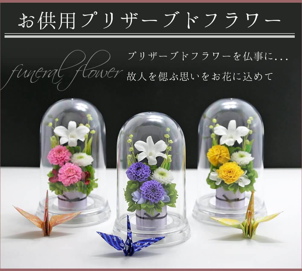71B2bD0ibfL 萌木 お供え花 プリザ-ブドフラワー 仏花 お彼岸 仏壇 四十九日 法事 お盆 一周忌 月命日 お悔やみ お供え
