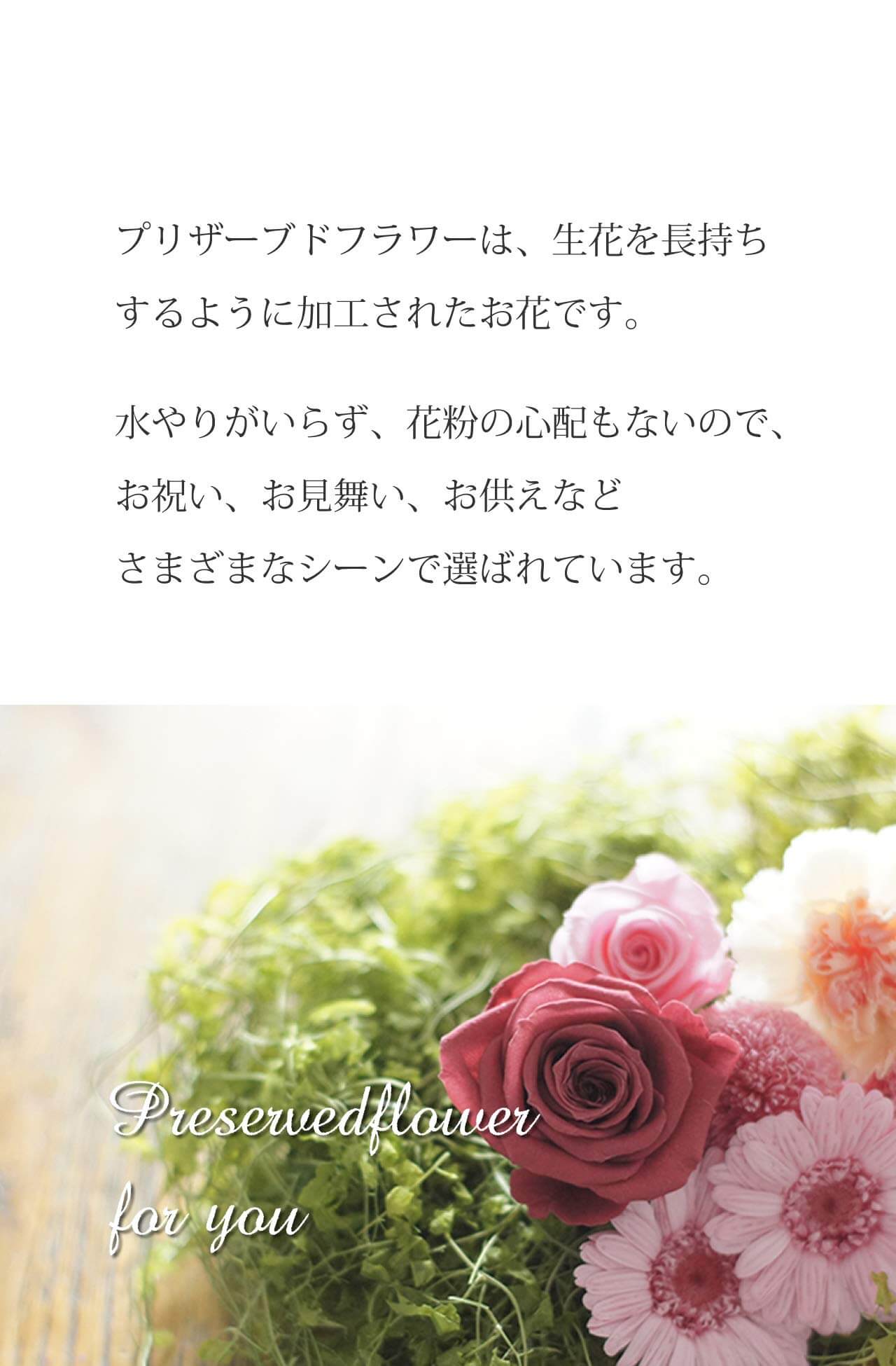 71LsRGxkCwL プリザーブドフラワー ガラスドーム 薔薇 二輪 ギフト (ブルー)