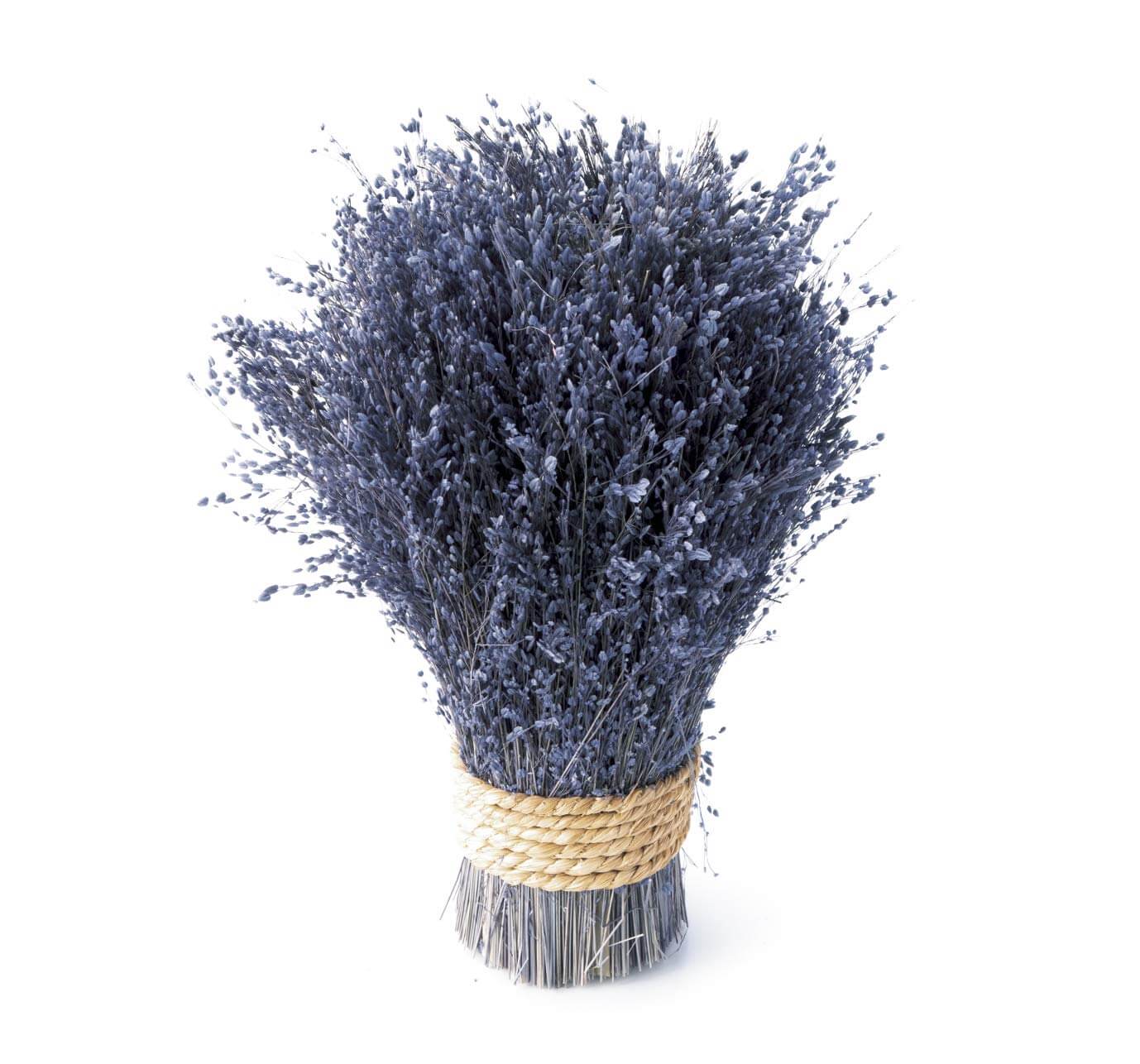 ドライフラワー ラベンダー 花