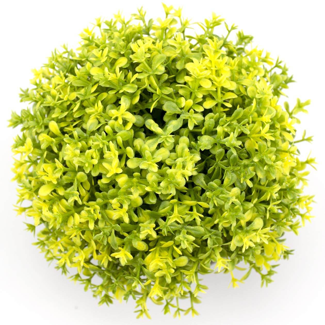 71do%2BI%2BfKOL アーティフィシャルグリーン 造花 光触媒観葉植物 フェイクグリーン 観葉植物 光触媒 光触媒植物 人工観葉植物 フェイクグリーン