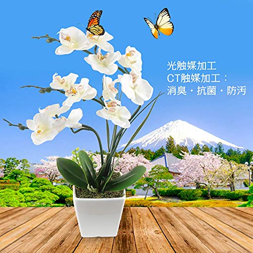 胡蝶蘭 三本立て 光触媒 造花 カラフル 鉢植 母の日ギフト シルク